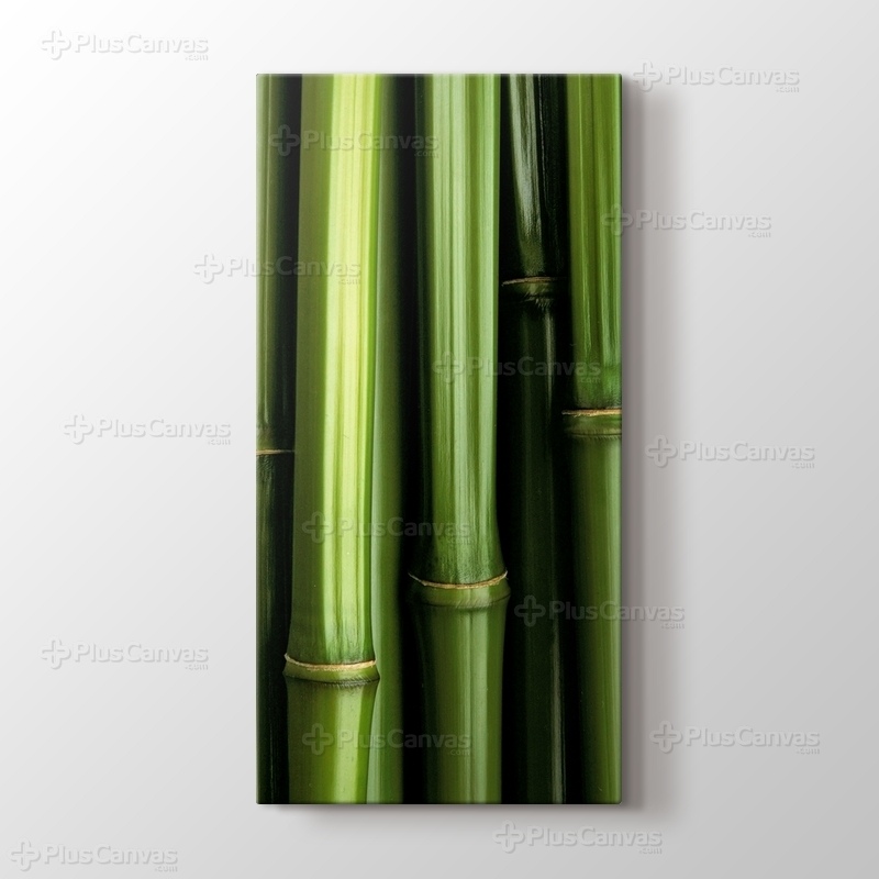 Bamboo görseli.