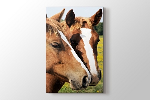 Horses görseli.