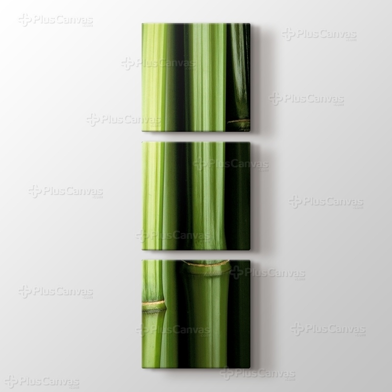 Bamboo görseli.