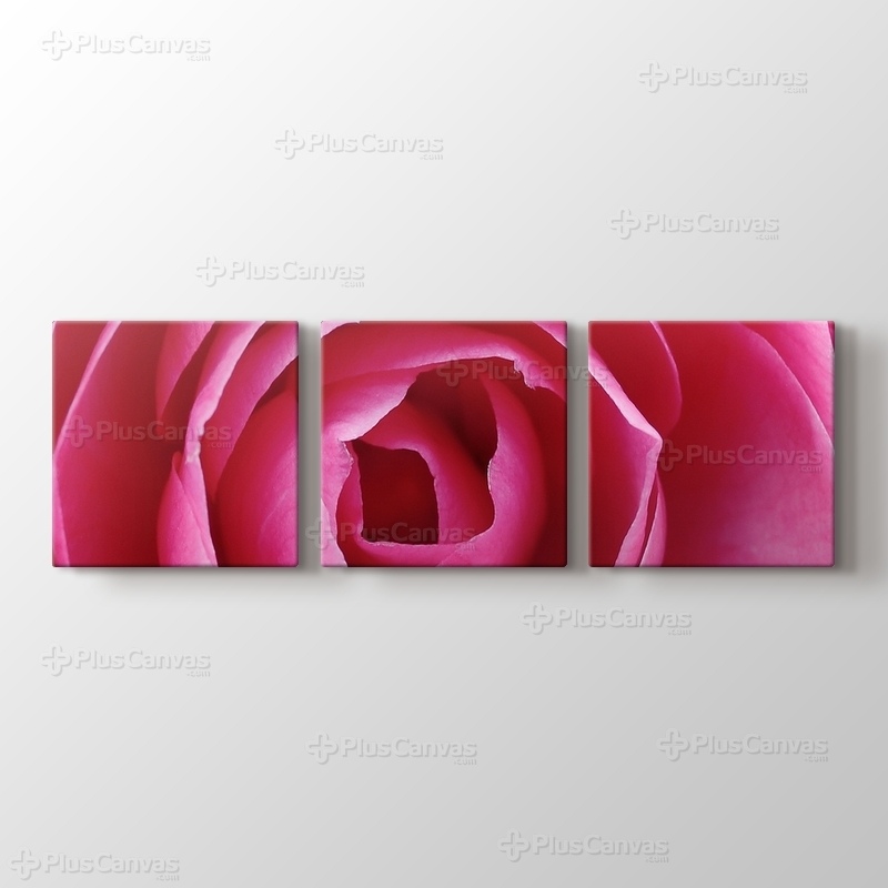 Pink Rose görseli.