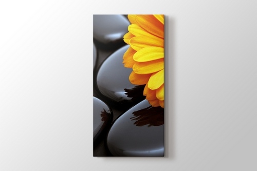 Black Pebbles and Flower görseli.
