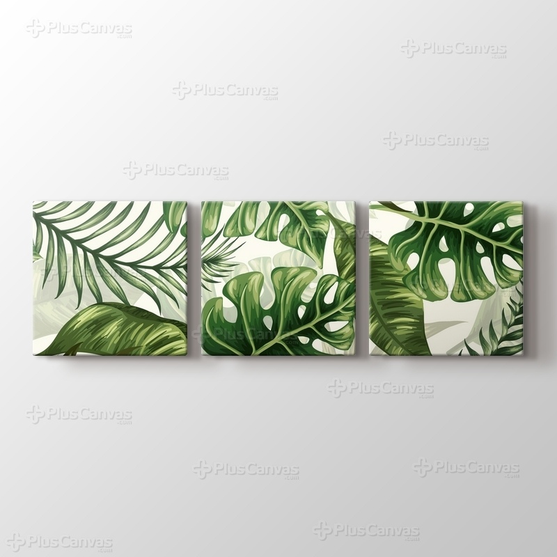Monstera görseli.