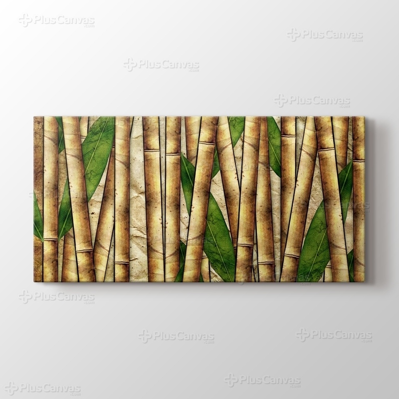Bamboo görseli.