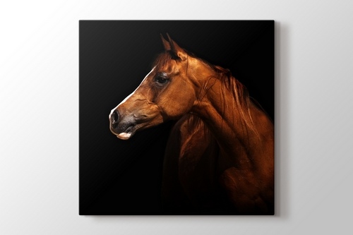 Brown Horse görseli.