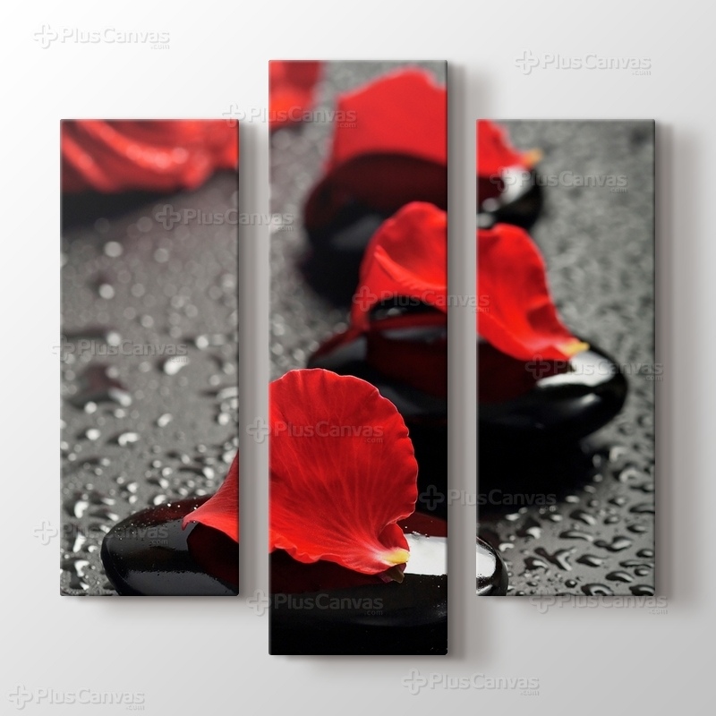 Black Pebbles and Red Rose görseli.