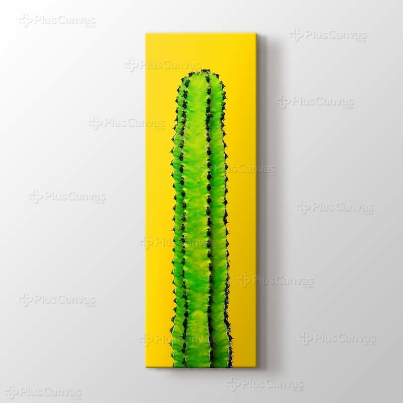 Green Cactus on Yellow görseli.