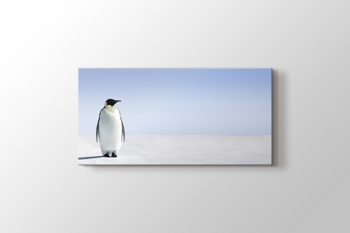 Penguins görseli.