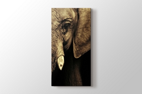 Elephant görseli.