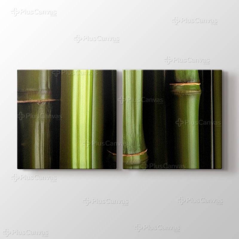 Bamboo görseli.