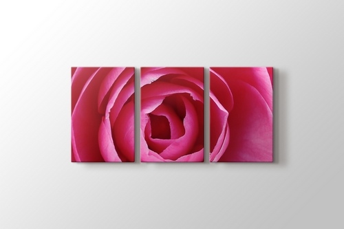 Pink Rose görseli.