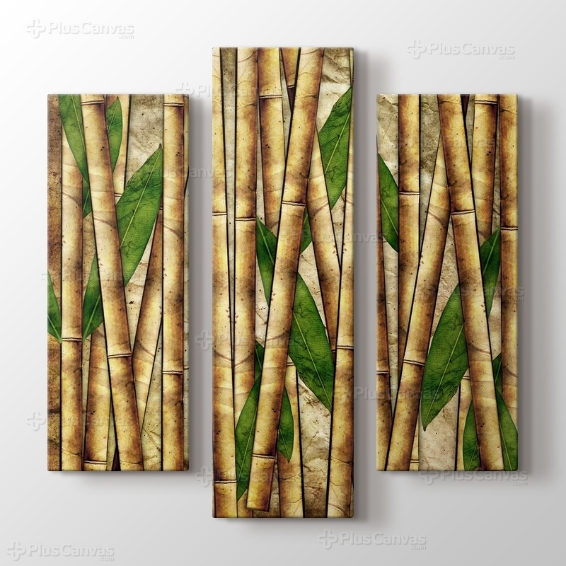 Bamboo görseli.