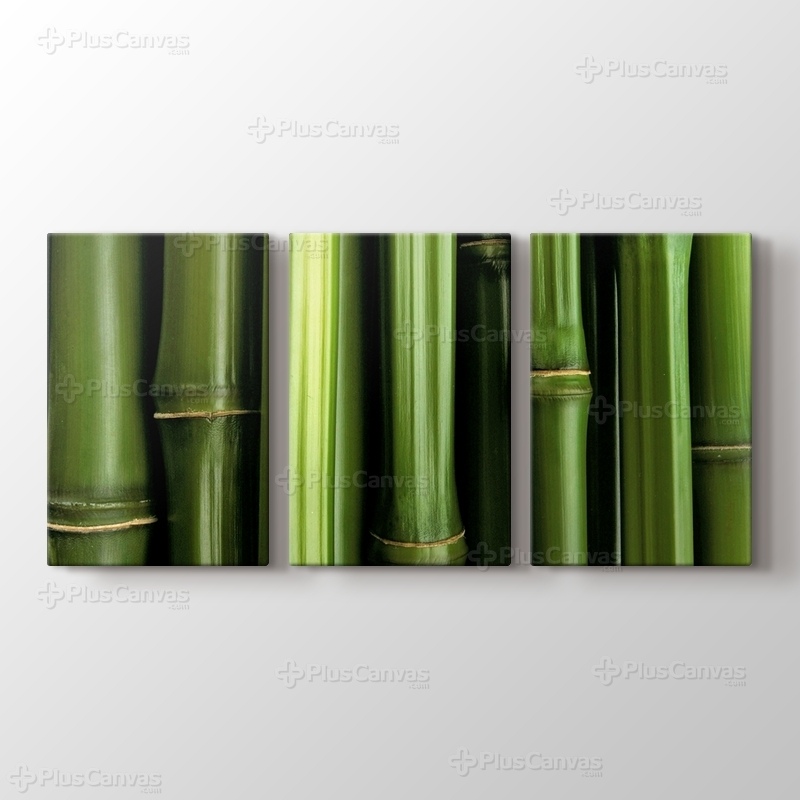 Bamboo görseli.