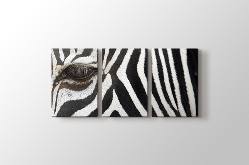 Zebra görseli.