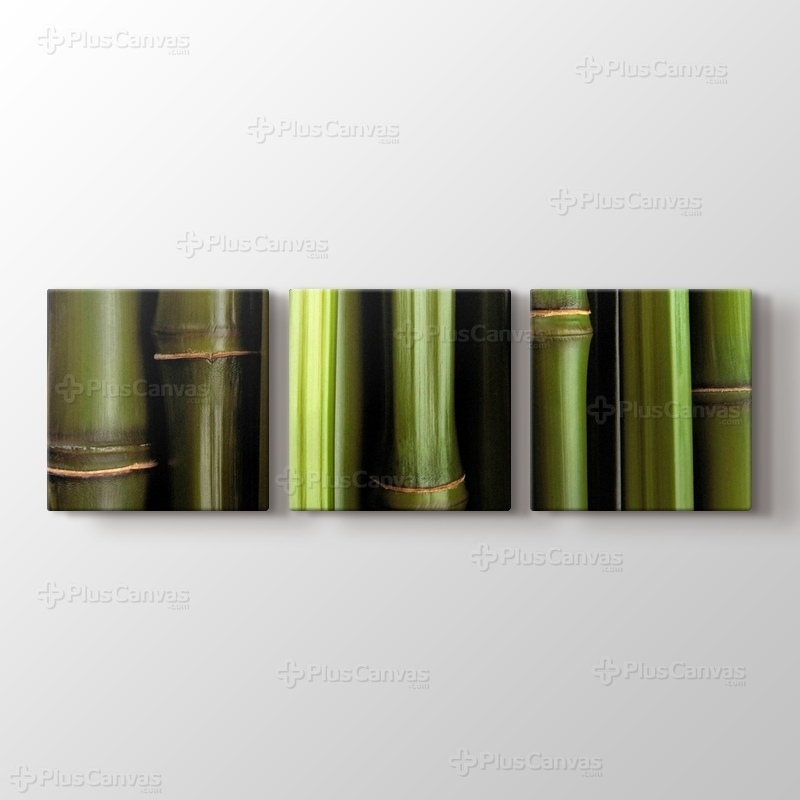 Bamboo görseli.