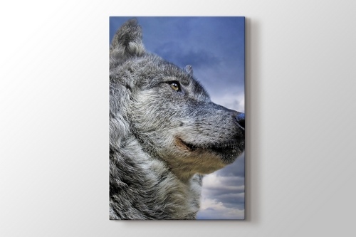 Wild Wolf görseli.