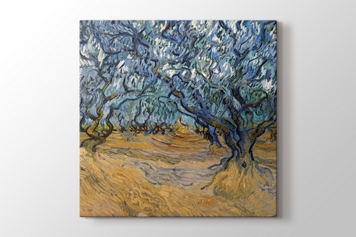 Olive Trees görseli.