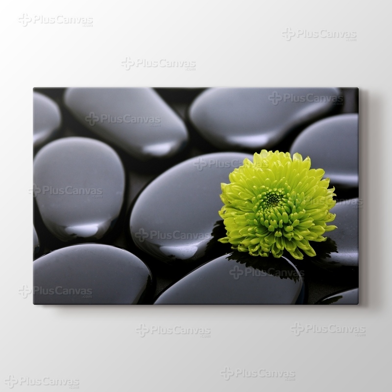 Black Pebbles and Flower görseli.