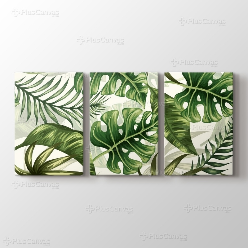Monstera görseli.