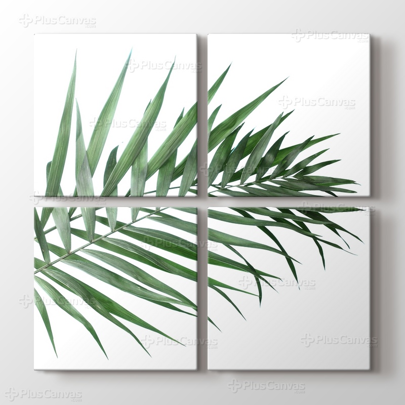 Beautiful Palm Leaves görseli.