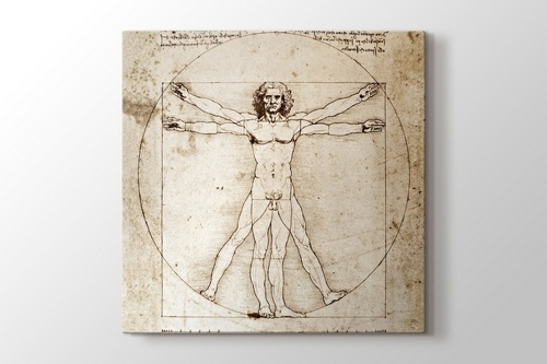 The Vitruvian Man 1498 görseli.