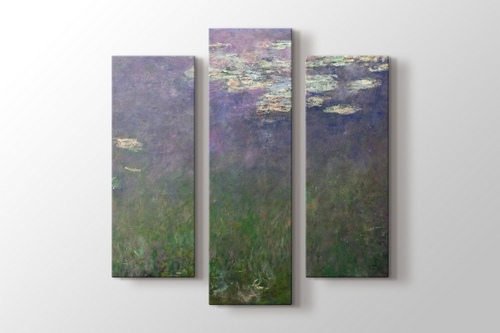 Water Lilies - Agapanthus görseli.