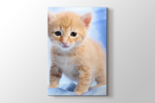 Pussy Cat görseli.