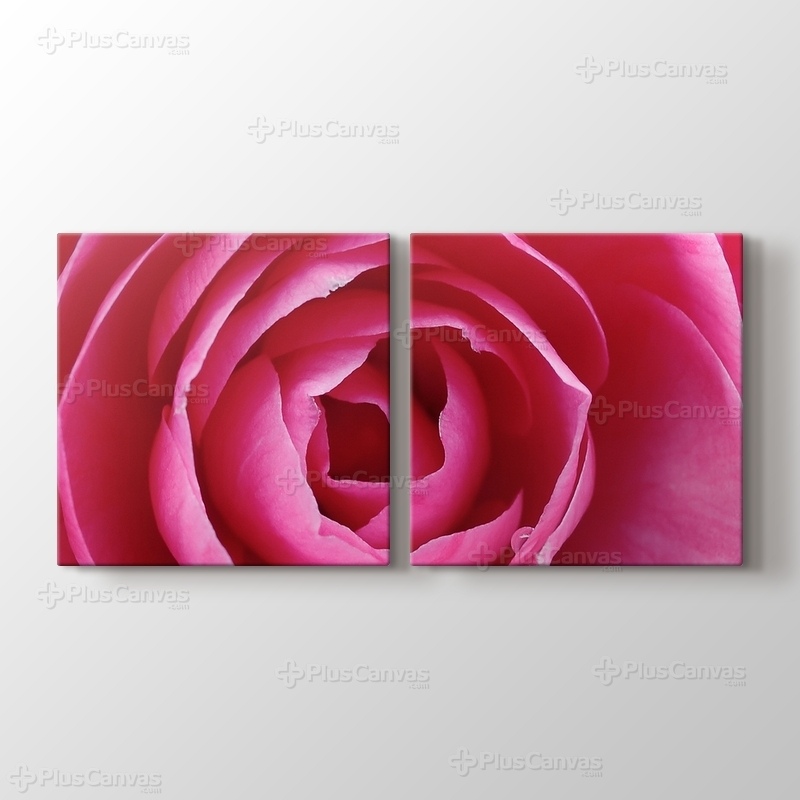 Pink Rose görseli.