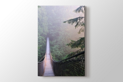 Kanada Lynn Canyon Park görseli.