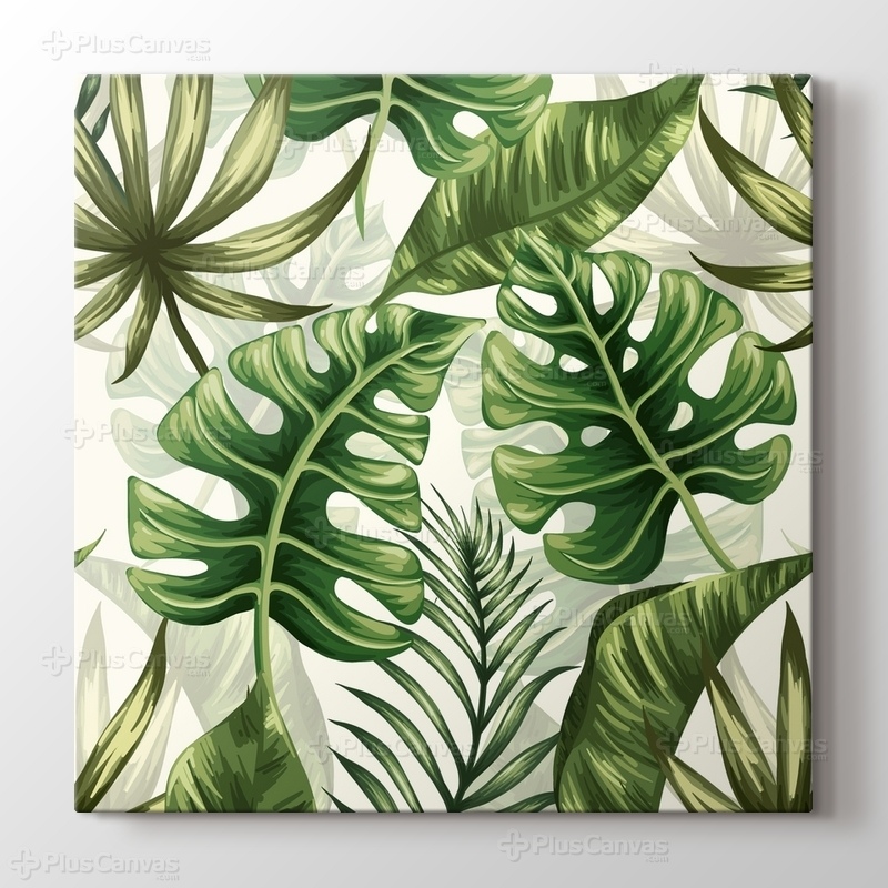 Monstera görseli.