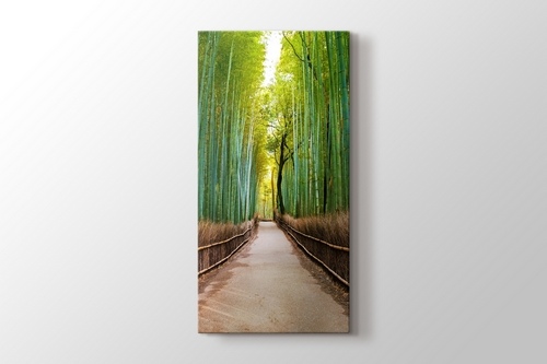Bamboo Forest in Kyoto Japan görseli.