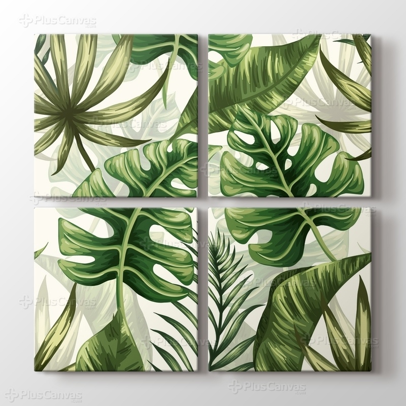 Monstera görseli.