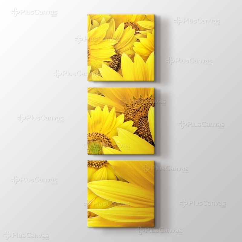 Sunflowers görseli.