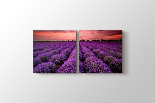 Stunning Landscape With Lavender Field At Sunset görseli.