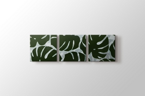 Monstera görseli.