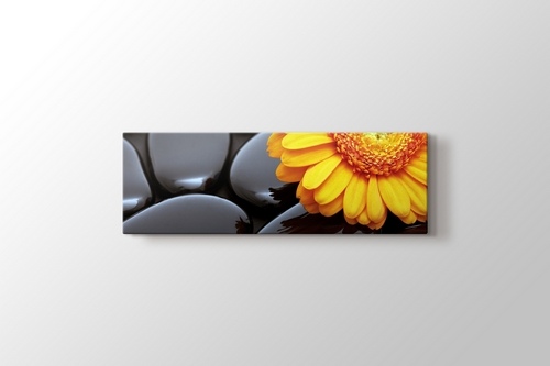 Black Pebbles and Flower görseli.
