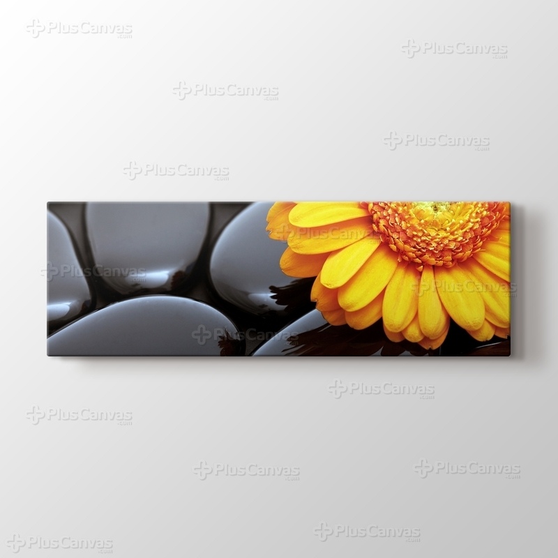 Black Pebbles and Flower görseli.