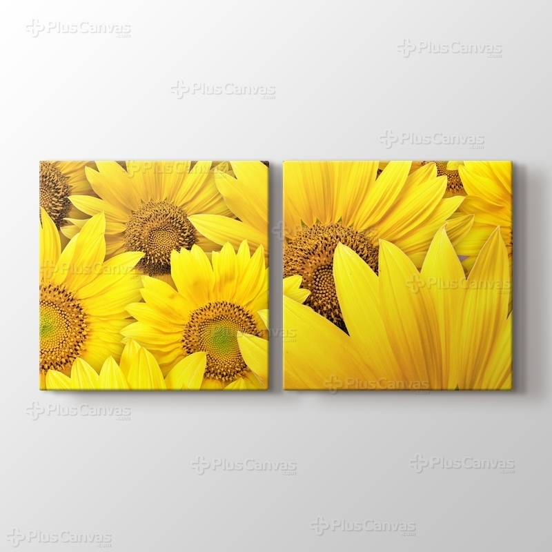 Sunflowers görseli.