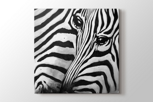 Zebra görseli.