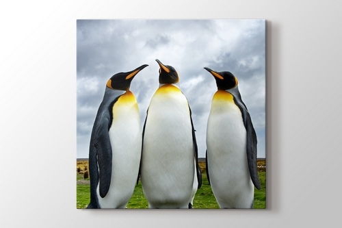 Penguin Family görseli.