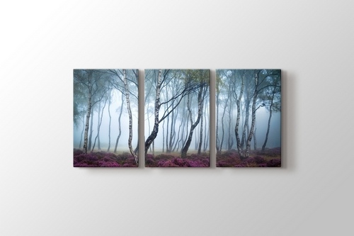 Forest görseli.