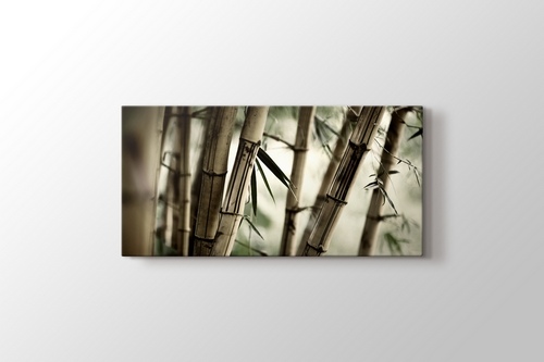Bamboo görseli.
