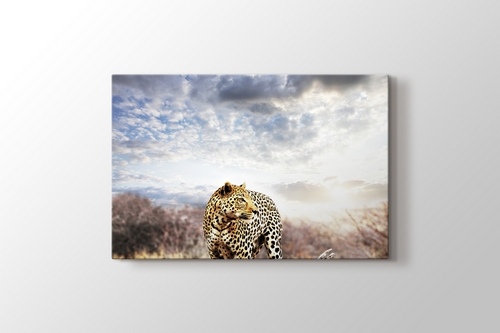 Leopard görseli.