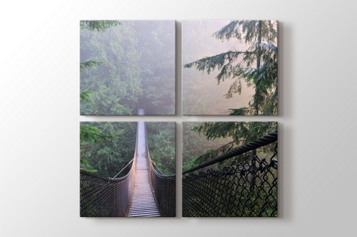 Kanada Lynn Canyon Park görseli.