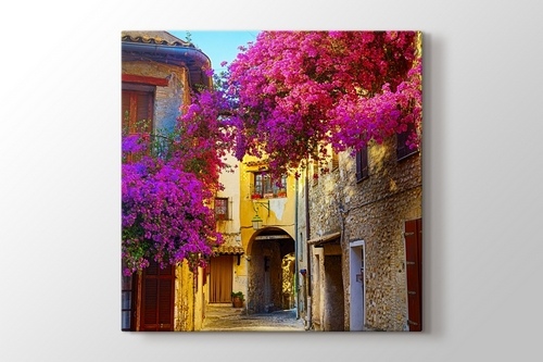 Erguvan ve Provence Sokakları görseli.