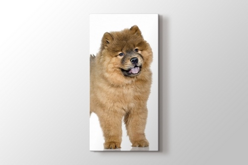 Puffy Dog görseli.