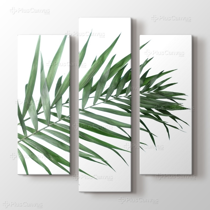 Beautiful Palm Leaves görseli.