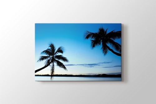 Palms görseli.