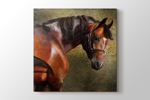 The Thoroughbred görseli.