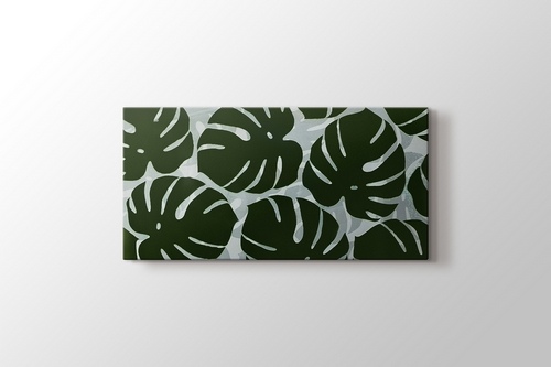 Monstera görseli.
