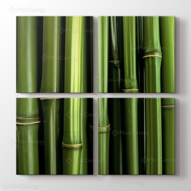 Bamboo görseli.